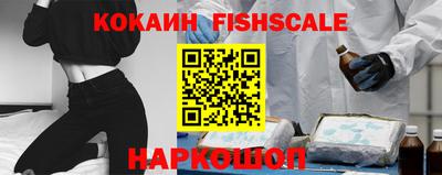 a pvp Новозыбков
