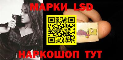 a pvp Новозыбков