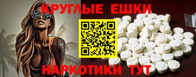 a pvp Новозыбков