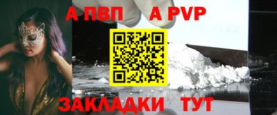 a pvp Новозыбков