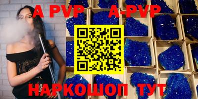 a pvp Новозыбков