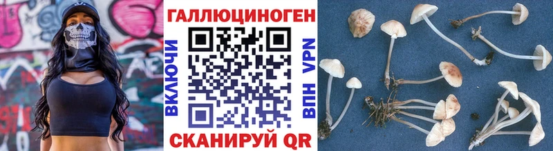 где продают   Усинск  Псилоцибиновые грибы мухоморы 