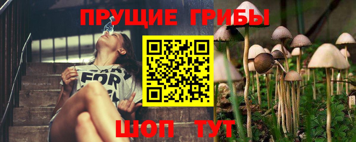 Псилоцибиновые грибы Magic Shrooms  Вход с VPN  Галлюциногенные грибы мухоморы  Усинск 